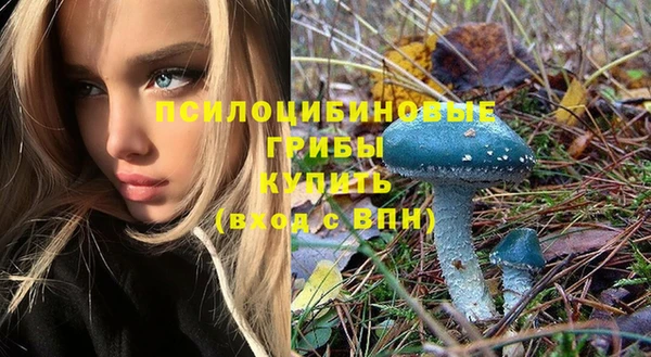 таблы Алзамай