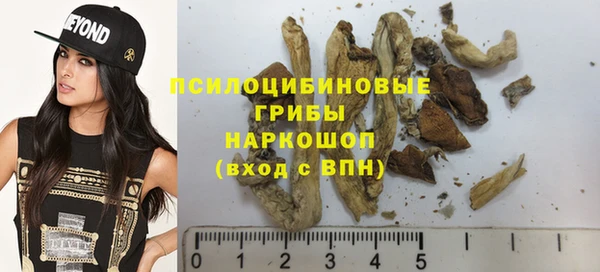 таблы Алзамай