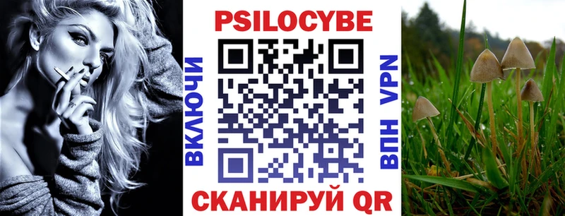 hydra ТОР Владимир Псилоцибиновые грибы Cubensis купить наркоту